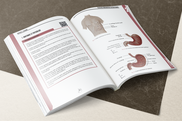 PACK PRÉCOMMANDE - Atlas des fondamentaux ostéopathiques Vol. 1 PREMIUM et Goodies